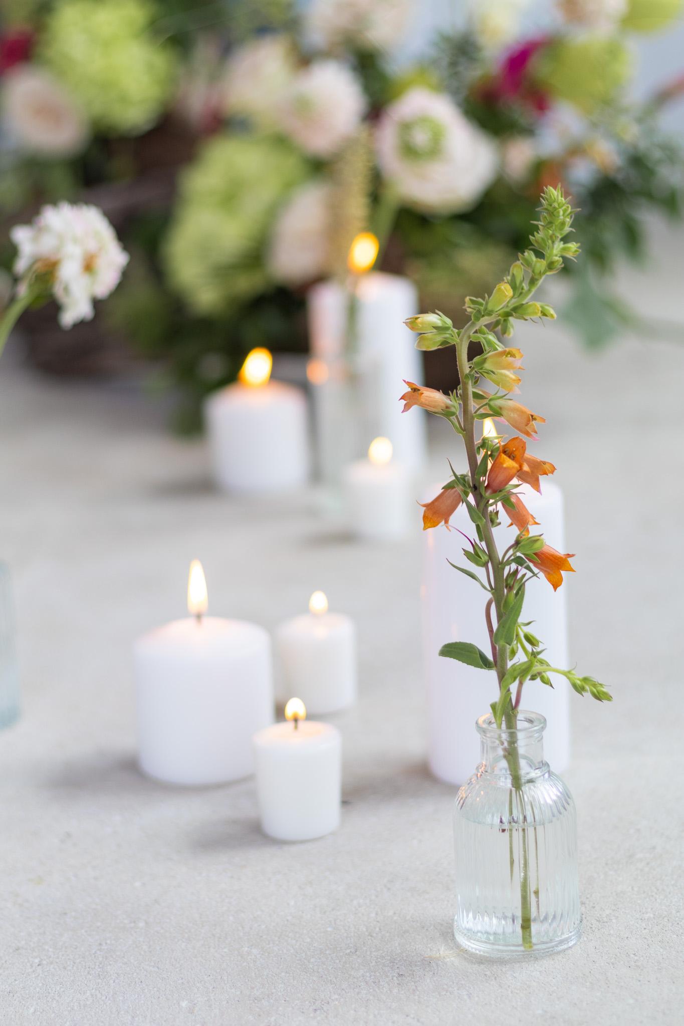 Foxglove and candle detail